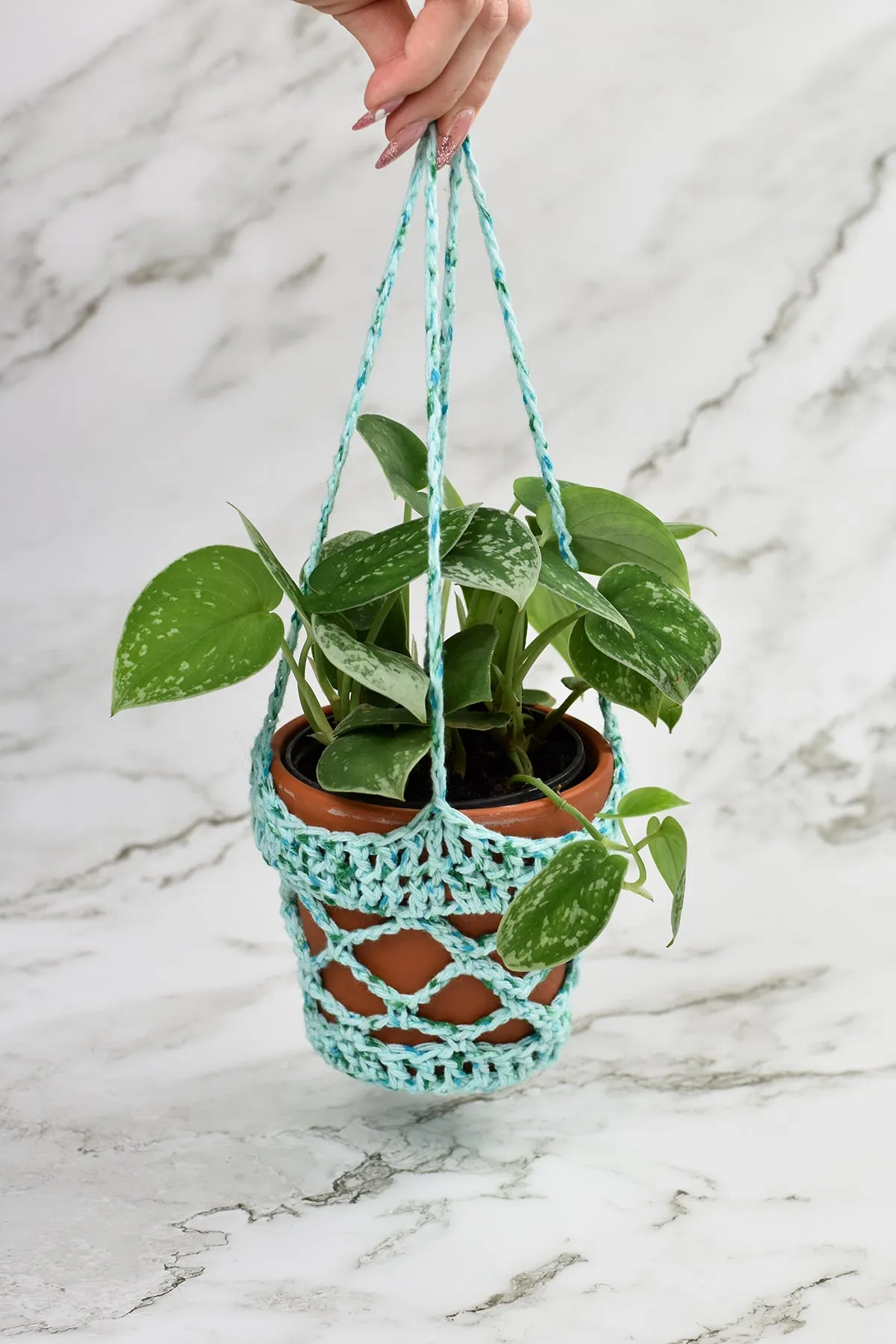 Aloft Plant Holder