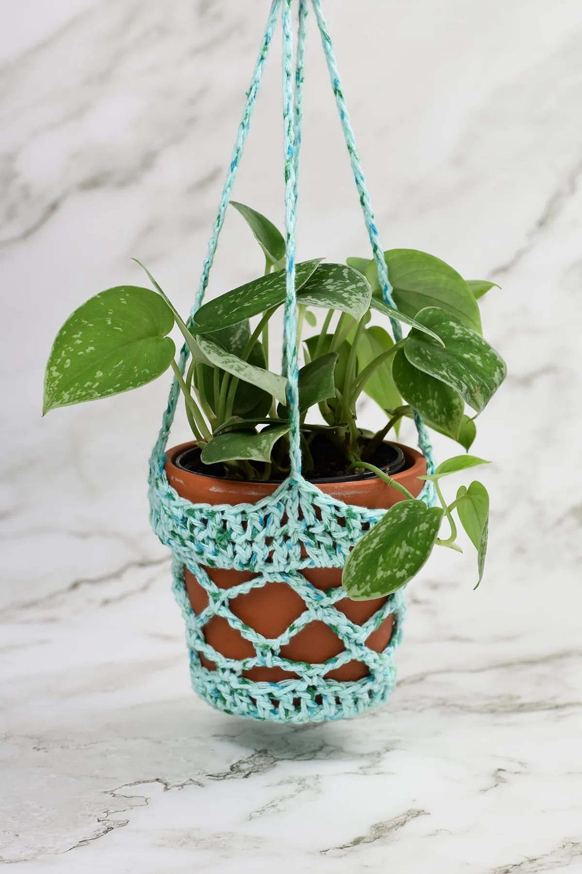 Aloft Plant Holder