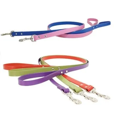 Auburn Town Leash - Many Colors