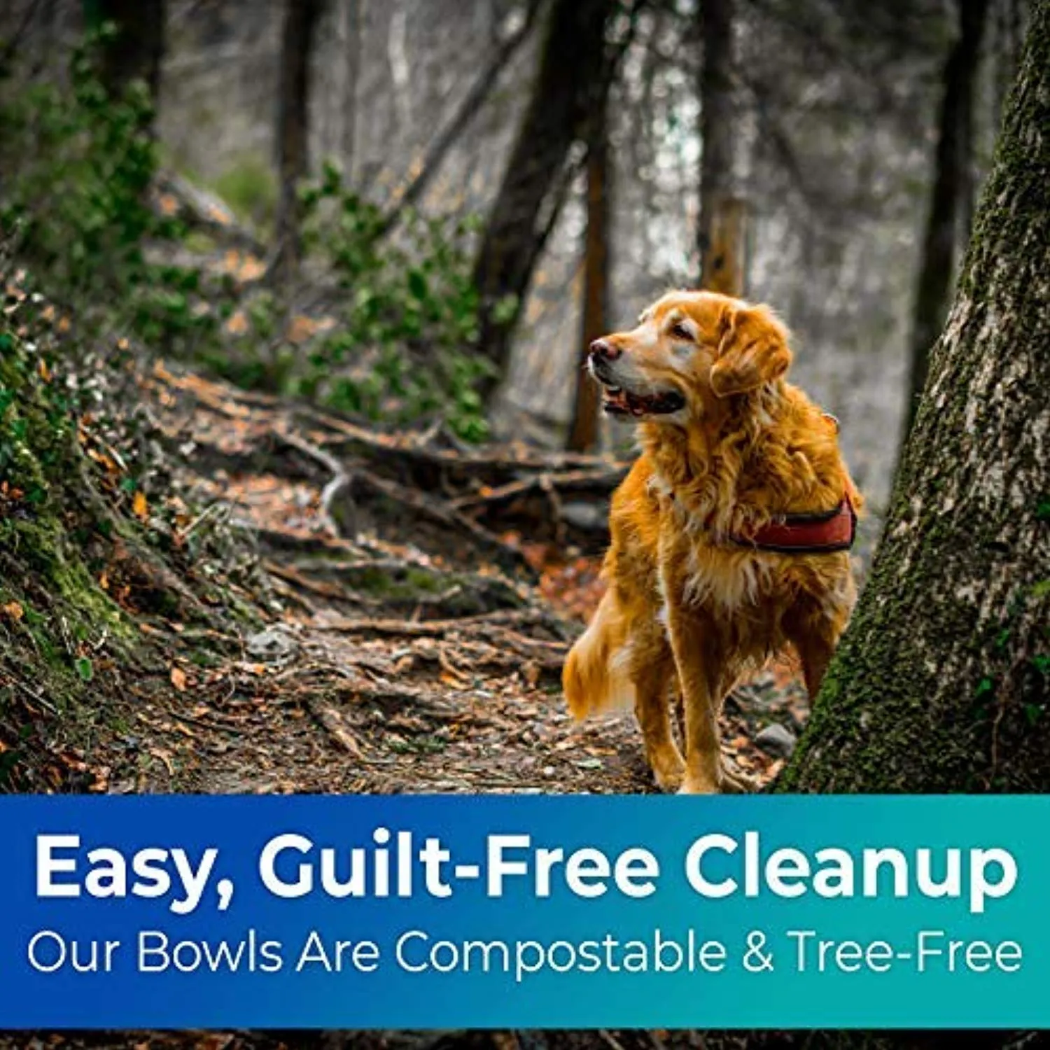 Biodegradable Disposable Pet Bowls Bulk 8 Oz Germ-Free, Non-Toxic Leakproof and Allergen-Free