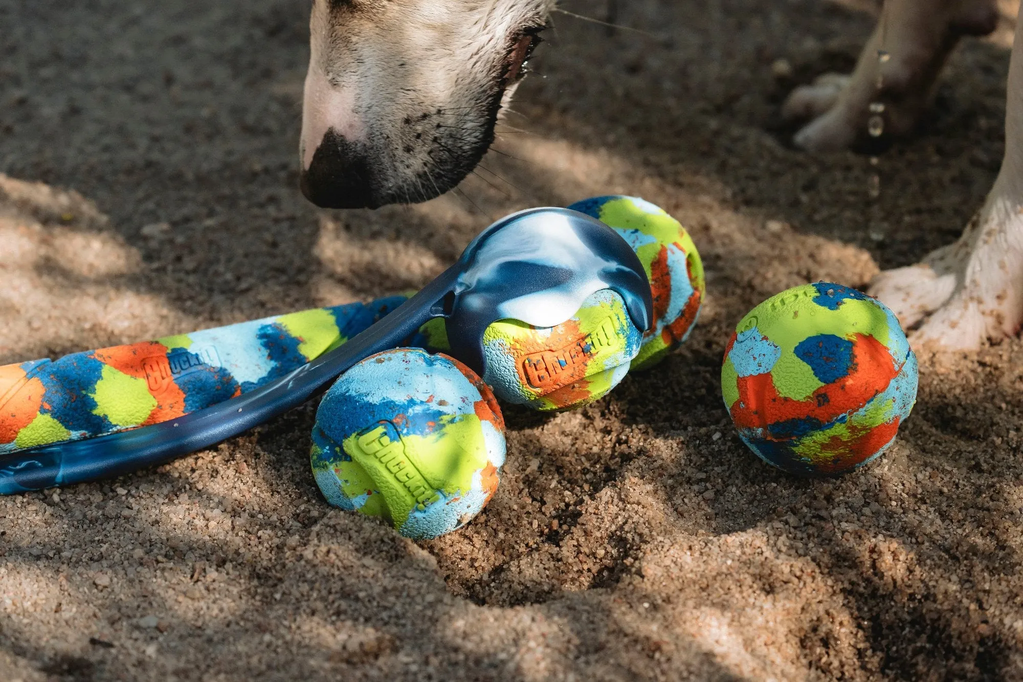 Chuckit National Fetch Day Eco Fetch Ball 3 Pack