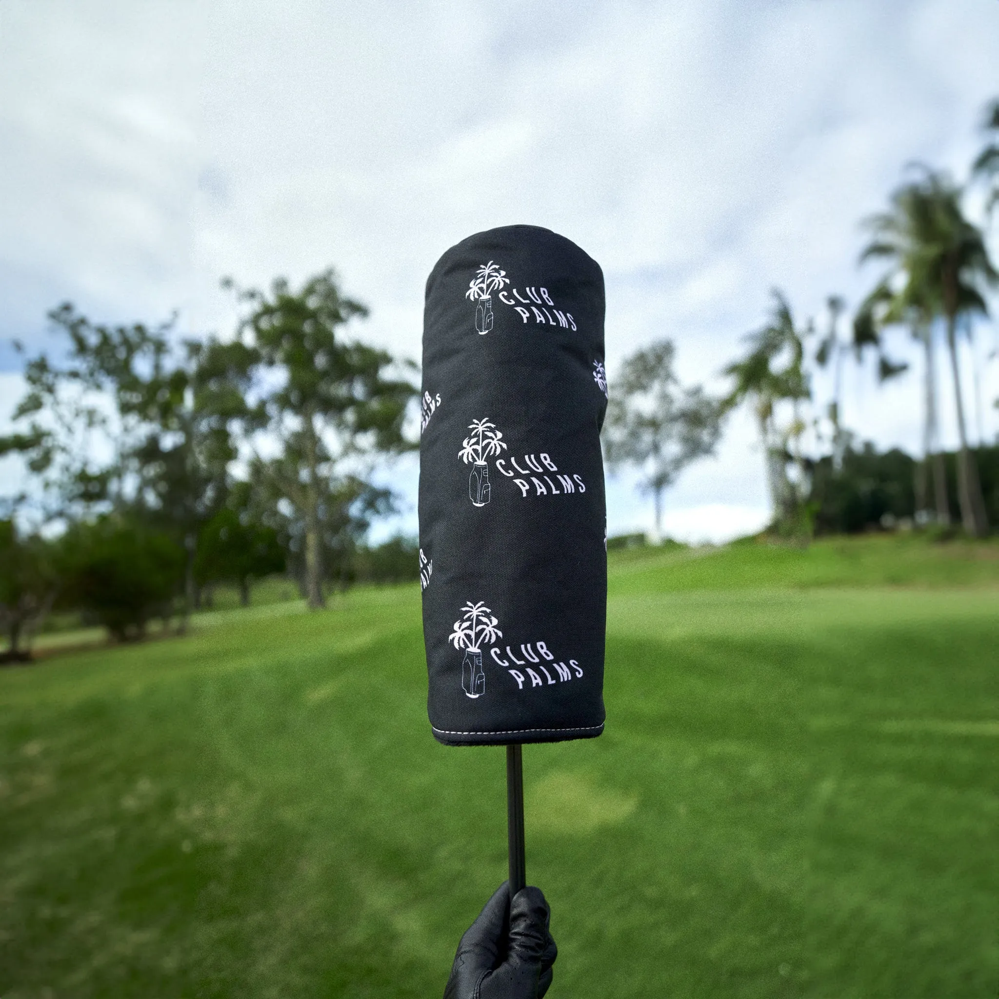 Club Palms 3 Wood Cover