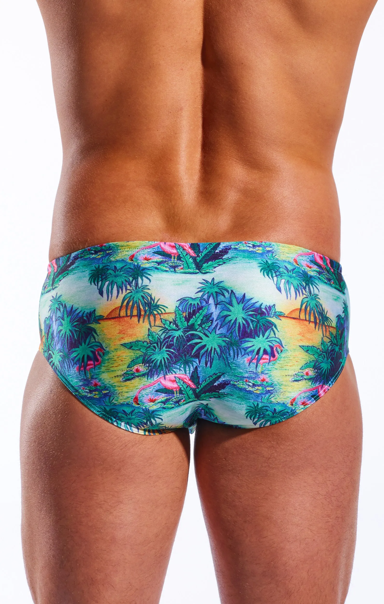 CX79PR Boy Leg Swim Brief