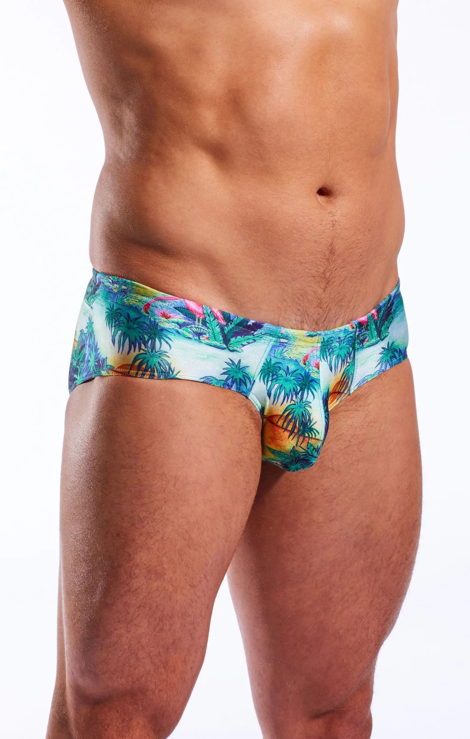 CX79PR Boy Leg Swim Brief