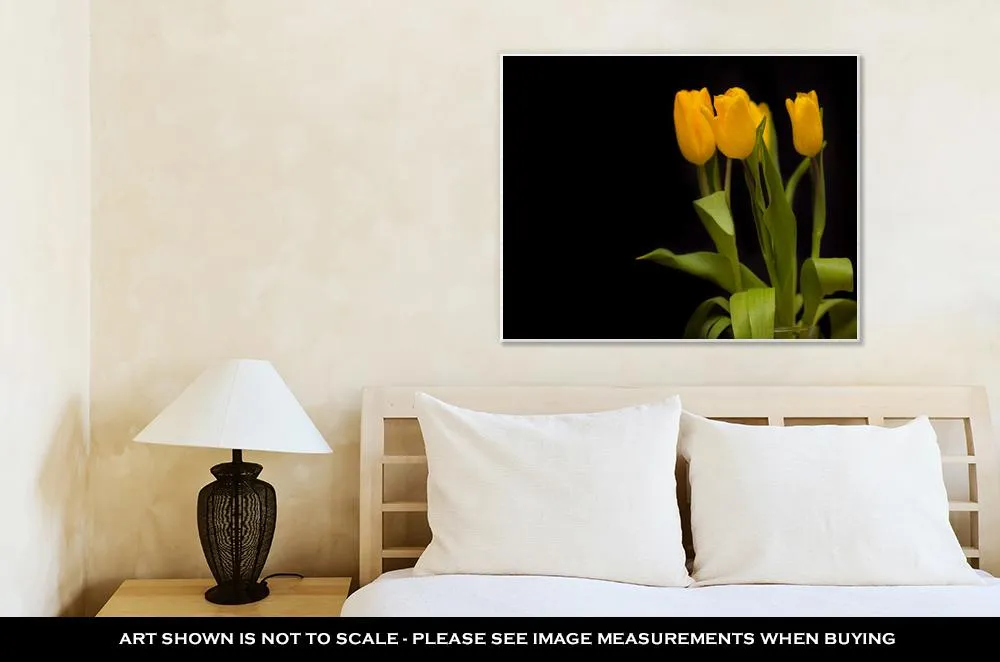 Gallery Wrapped Canvas, Yellow Tulips On A Dark